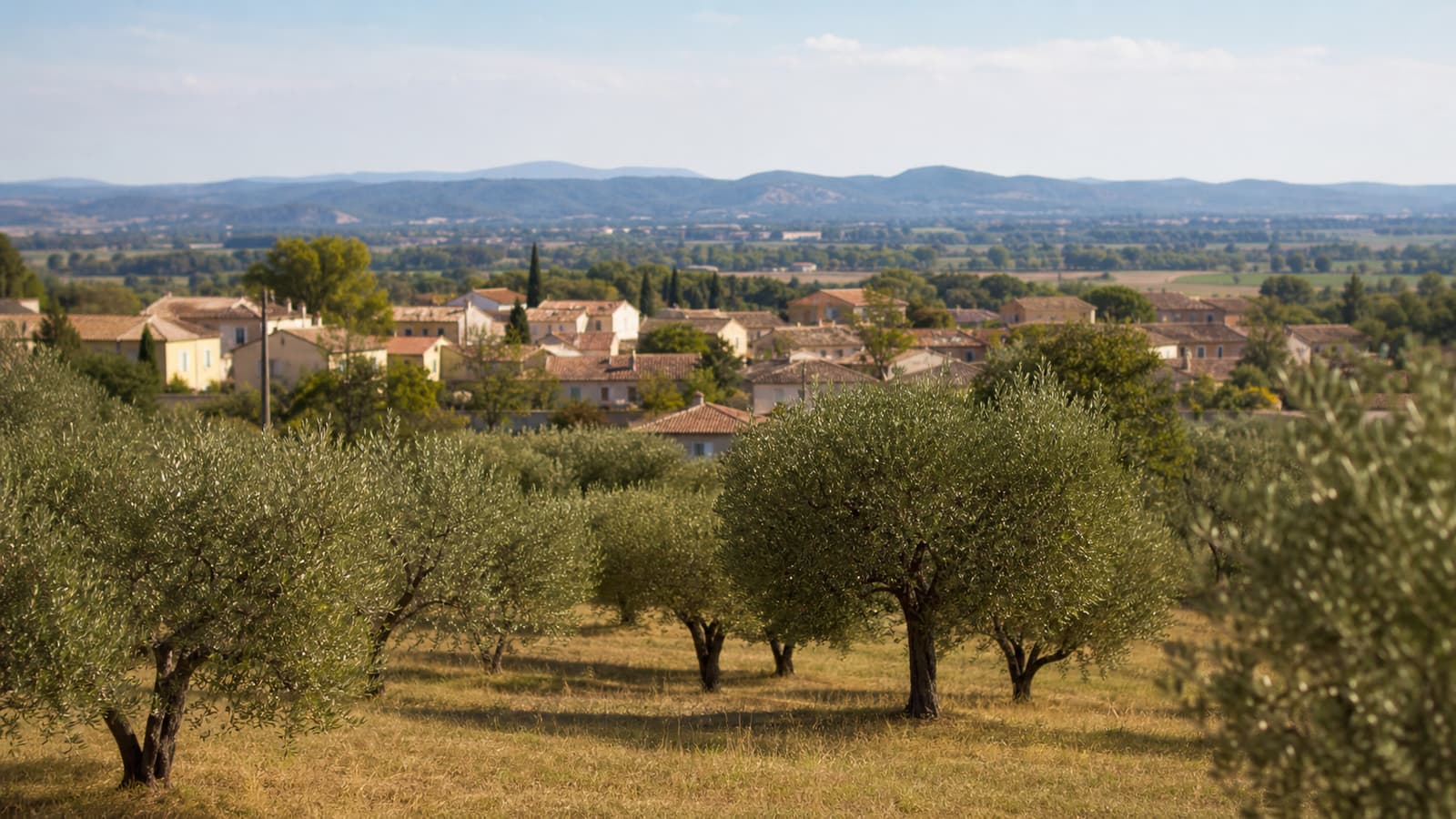 Vue de la ville de La Fare-les-Oliviers